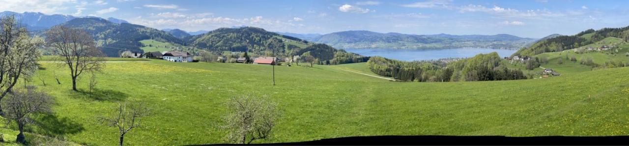 Ferienwohnungen Schobringer Weyregg am Attersee Dış mekan fotoğraf