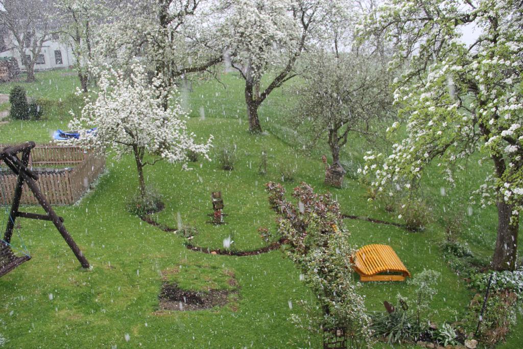 Ferienwohnungen Schobringer Weyregg am Attersee Dış mekan fotoğraf